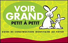 Voir grand petit à petit